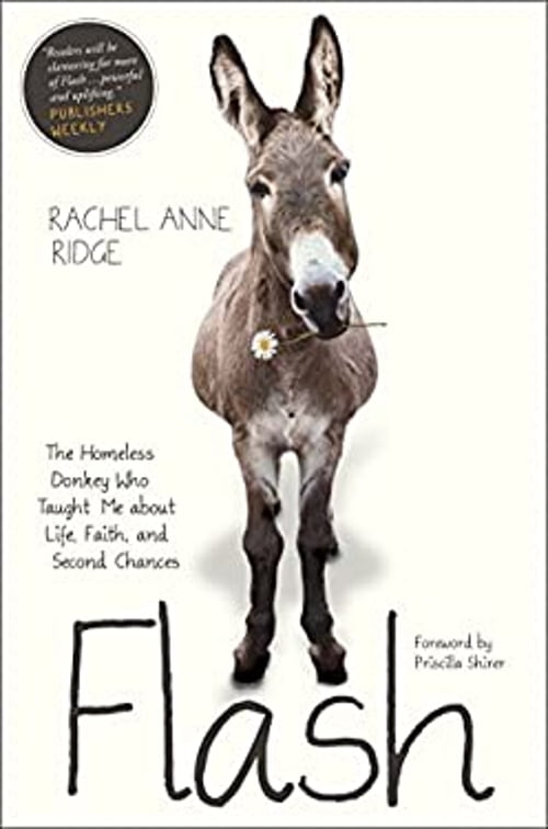 Pre-Owned Flash: The Homeless Donkey Who Taught Me about Life, Faith, and Second Chances (Hardcover) by Rachel Anne Ridge, Priscilla Shirer