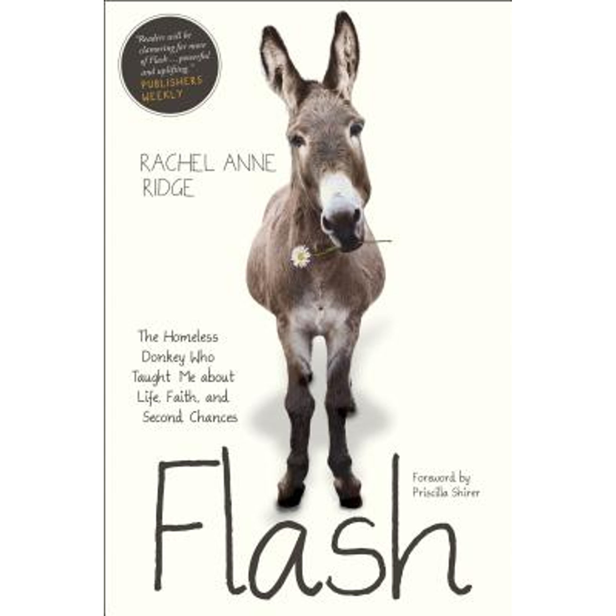Pre-Owned Flash: The Homeless Donkey Who Taught Me about Life, Faith, and Second Chances (Hardcover 9781414397832) by Rachel Anne Ridge, Priscilla Shirer