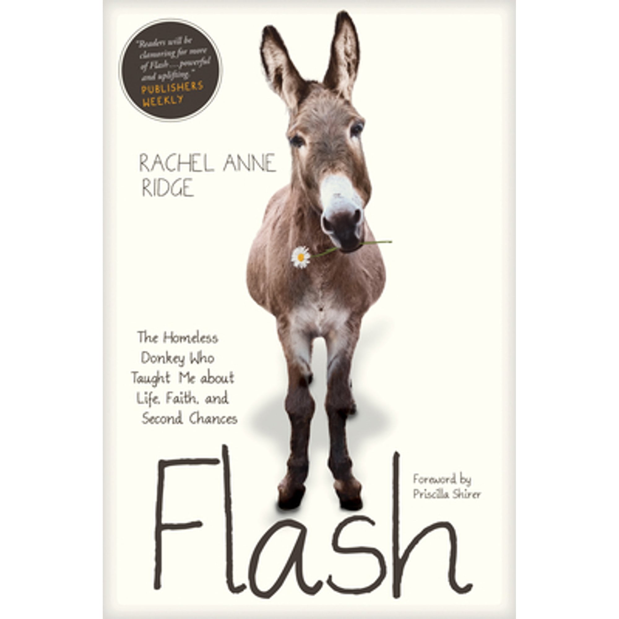 Pre-Owned Flash: The Homeless Donkey Who Taught Me about Life, Faith, and Second Chances Flash the Paperback Rachel Anne Ridge