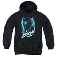 thumbnail image 1 of Flash - Zoom - Youth Hooded Sweatshirt - Medium, 1 of 2