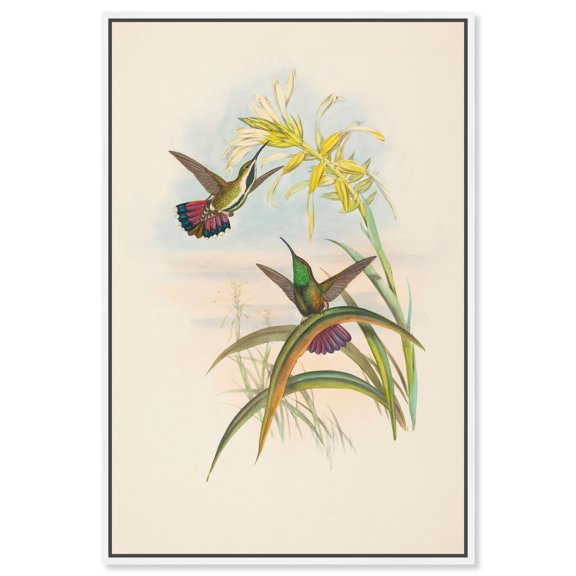 Flash of Magenta Canvas Print Botanical Art by Art Remedy, White Frame, 24 x 36