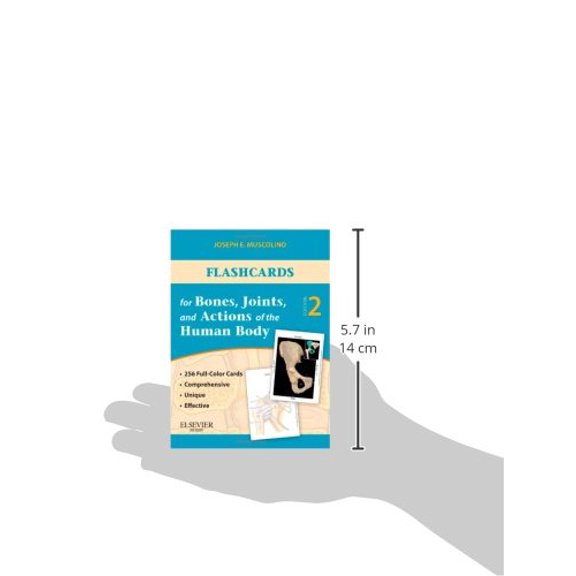 Pre-Owned Flashcards for Bones, Joints, and Actions of the Human Body Paperback