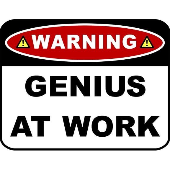 Flashing Blinking Red LED Laminated Funny Sign Warning Genius at Work
