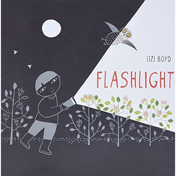 Pre-Owned Flashlight: (Picture Books, Wordless Books for Kids, Camping Books for Kids, Bedtime Story Books, Children's Activity Books, Children's Nature Books) (Hardcover) 1452118949 9781452118949