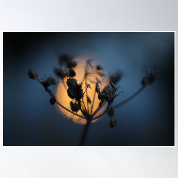 Flashlight Poster Wall Art, Modern Wall Decor, 16x24 UNFRAMED