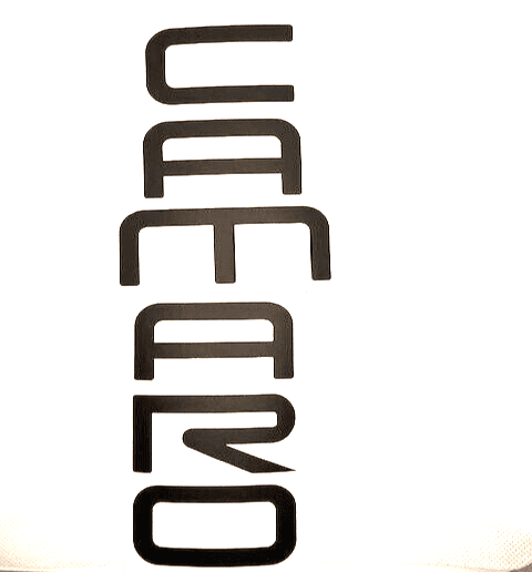 Red Rear Lettering Inlay Decal – Fits 1993-2002 Chevy Camaro (Vinyl, USA Made)