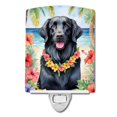 thumbnail image 1 of Flat-Coated Retriever Luau Ceramic Night Light 4 in x 6 in, 1 of 3