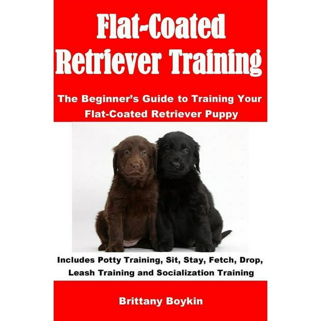 Flat-Coated Retriever Training: The Beginner's Guide to Training Your Flat-Coated Retriever Puppy: Includes Potty Training, Sit, Stay, Fetch, Drop, Le