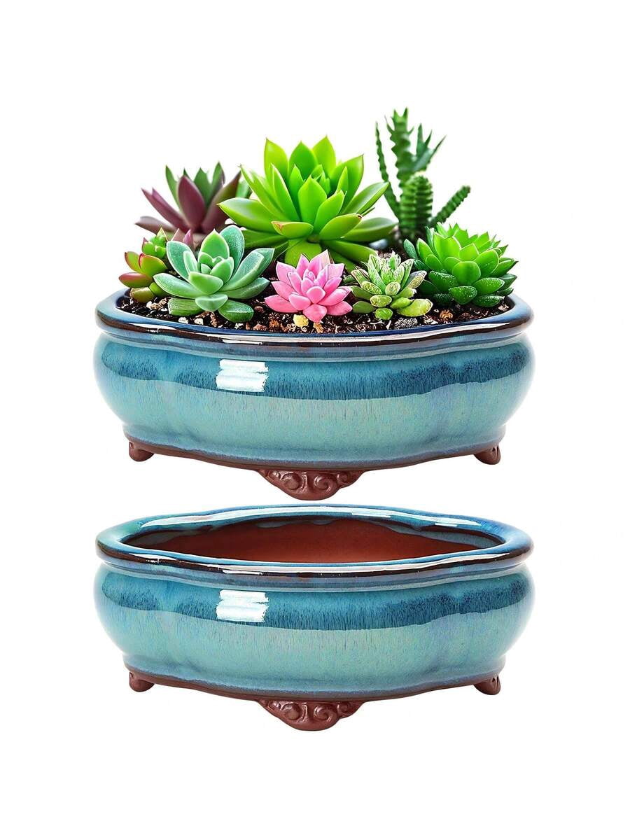 Flat Pot