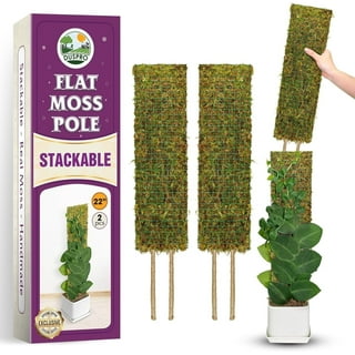 【新品未使用】MOSS STICK SW50 24-25 Moss-Pole-Plants-RUseeN-Poles-
