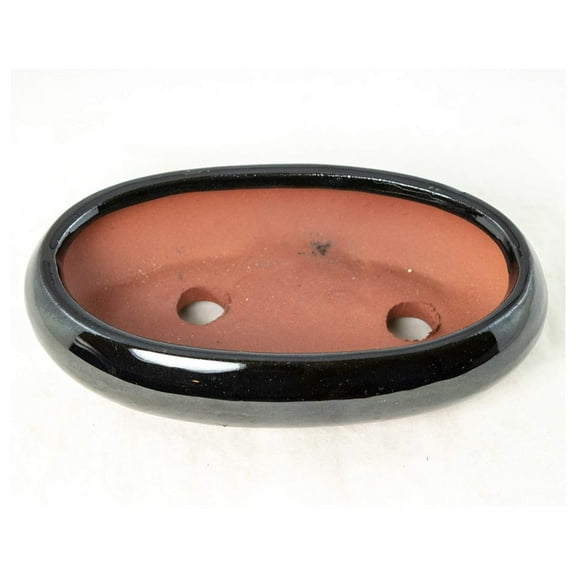 Flat Narrow Oval Black Bonsai Pot, Cactus & Planter + mesh - 7.25"x 4.5"x 1.75" (688-7K)