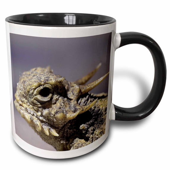 3drose, Flat-tailed Horned Lizard, Phrynosoma Mcalli, 11oz Two-tone Black Mug