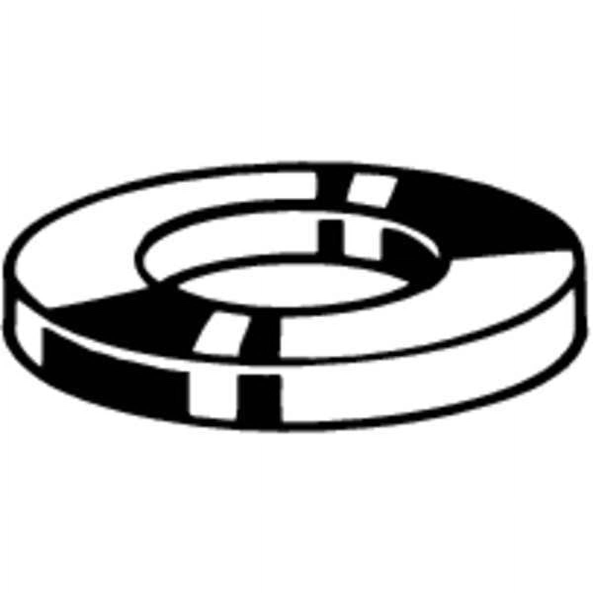 Flat Washer, For Screw Size M10 ,Stainless Steel Plain Finish, 100 PK