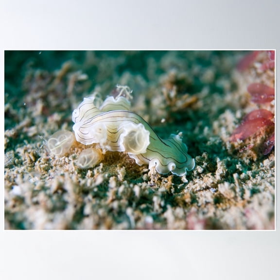 Flat Worm Poster Wall Art, Modern Wall Decor For Living Room Bedroom, 12x18 UNFRAMED