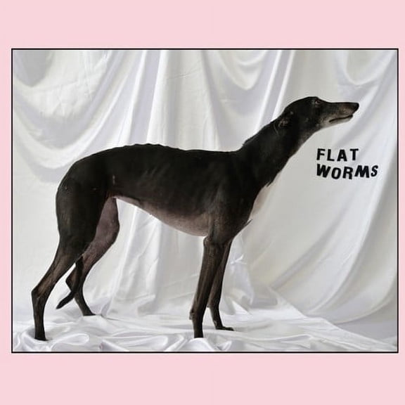 Flat Worms - Flat Worms - Music & Performance - Vinyl
