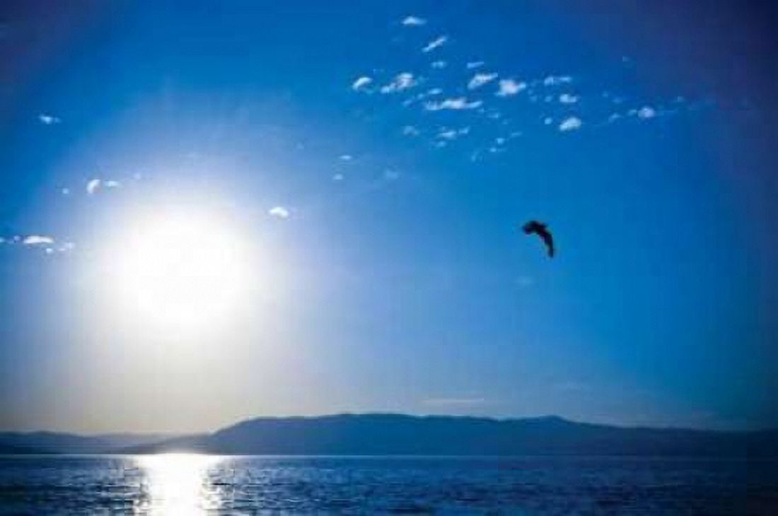 Flathead Lake Canvas Art - Erin Berzel (20 x 28)