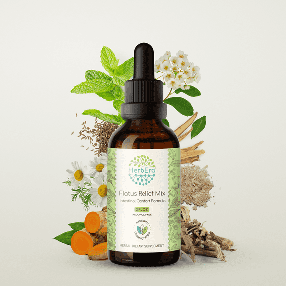 HerbEra Flatus Relief Mix Extract, Dietary Supplement Herbal Formula, Made from Chamomile Flower,Licorice Root,Meadowsweet Herb,Turmeric Root,Marshmallow Root, Peppermint,Caraway 2 oz
