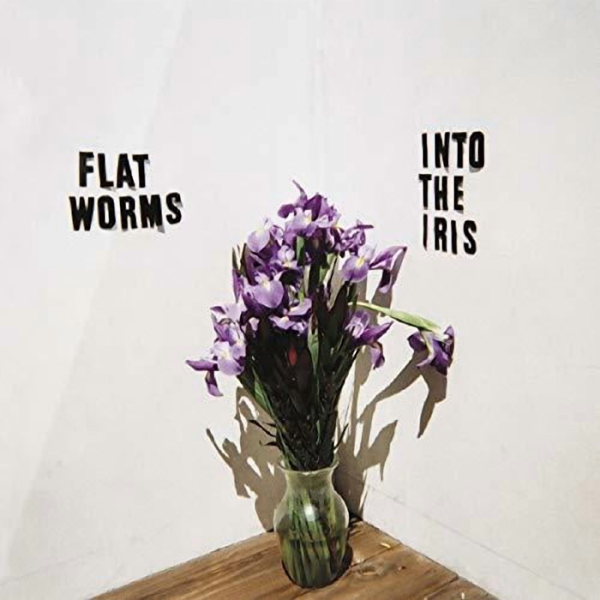 Flatworms - Into The Iris - Music & Performance - CD