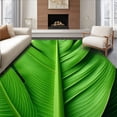 thumbnail image 1 of ODIKA 6'x9' Machine Washable Non-Slip Area Rug, Tropical Leaf Velvet High Traffic Rug, Green, 443, 1 of 7