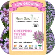 Flawn Seed Creeping Thyme, 12,500 Seeds, Pollinator Friendly, Low Maintenance, Lawn Alternative, Ground Cover, Compostable Pouch, Up to 500 SqFt