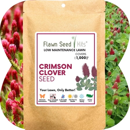 Flawn Seed Kits Crimson Clover Seed 1,000 Sqft, Low Maintenance, Perennial