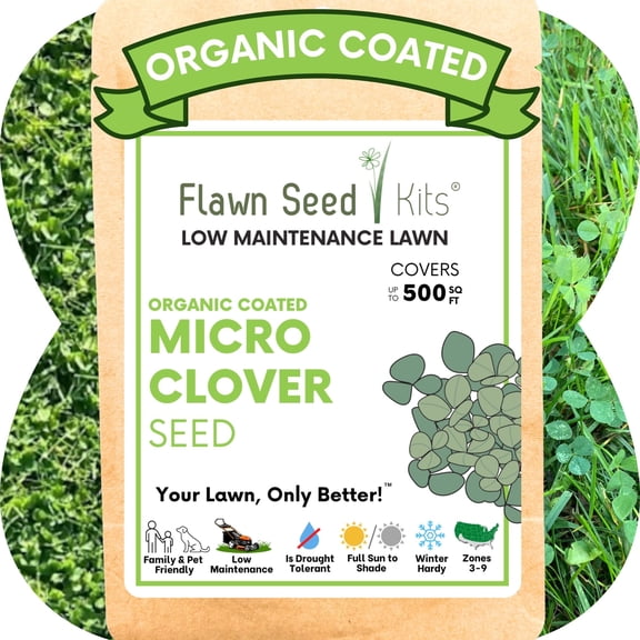 Flawn 500 Sqft Micro Clover Seed Flower Seeds, Perennial Ground Cover