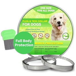 Flea collar walmart hot sale