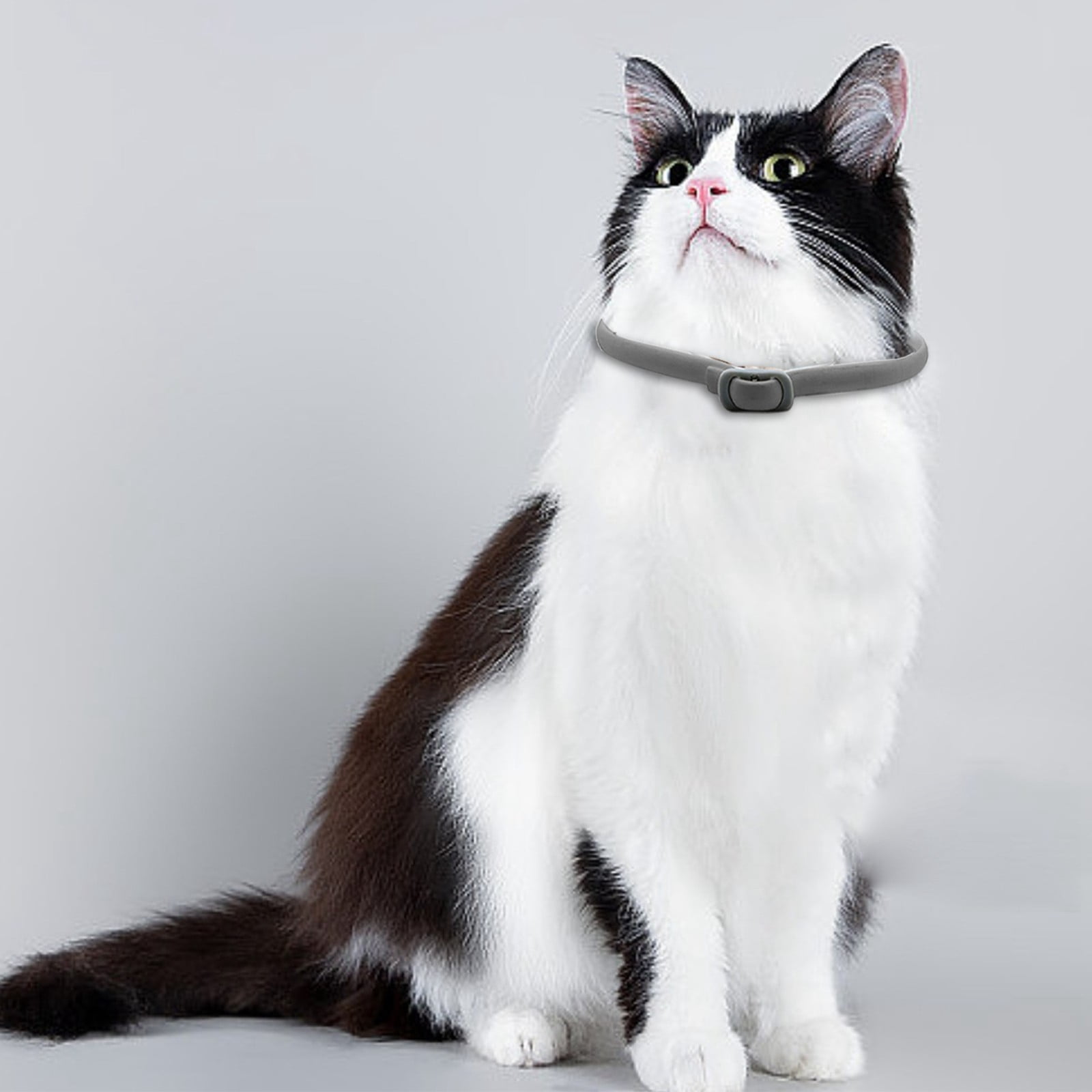 Flea and Tick Collar for Cats,8Month Tick and Flea Control for Cats