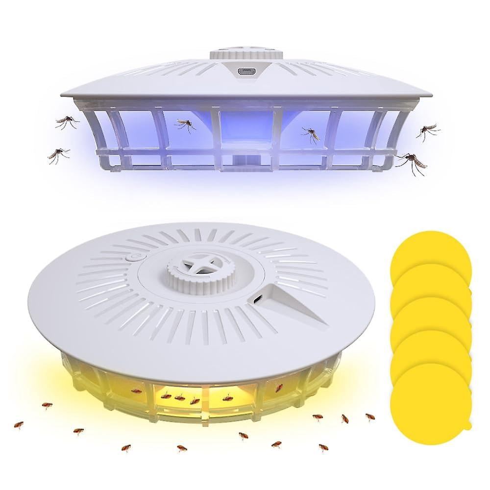 Flea Trap Flea Trap For Home Flea Trap Non Toxic Photo Inspiration