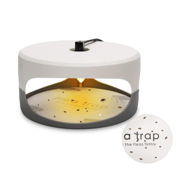 Flea Traps for Home Indoor Flea Light Trap Treatment with 6 Refills & 6 Bulbs - Bug Insect Pest Control Traps for Living Room, Balcony, Bedroom - ROUND -1 PACK