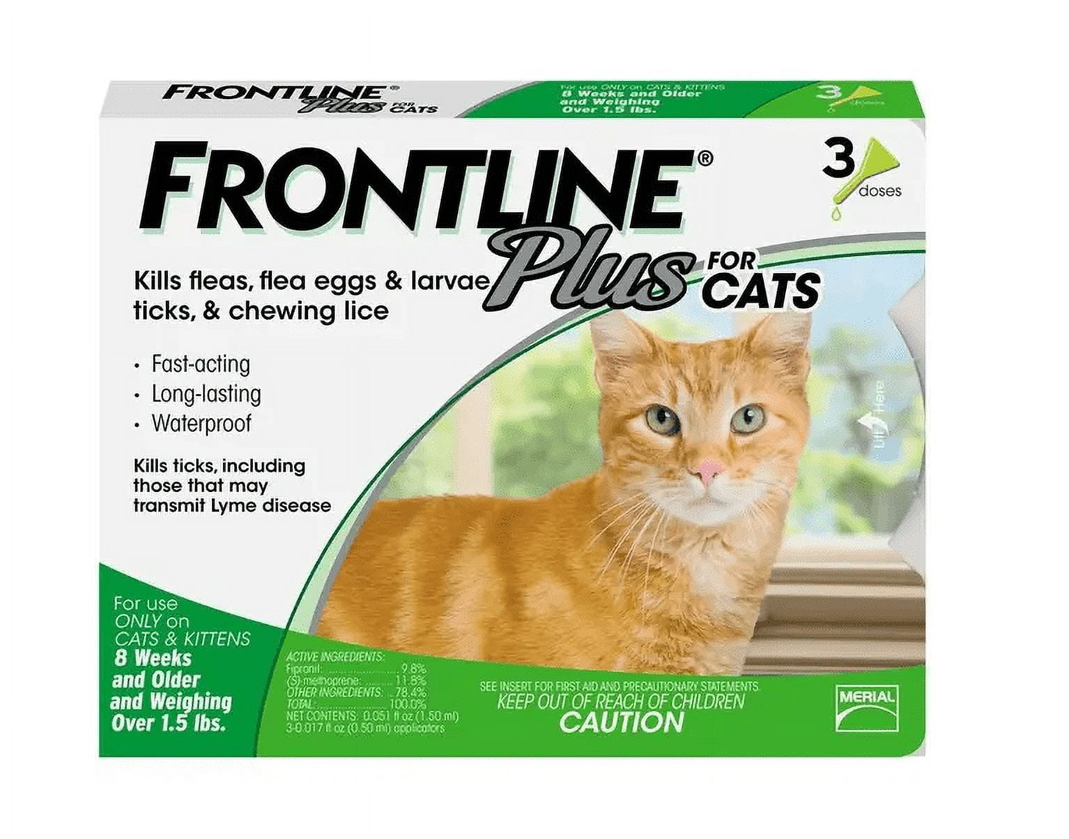 Flea and Tick Control for Cats