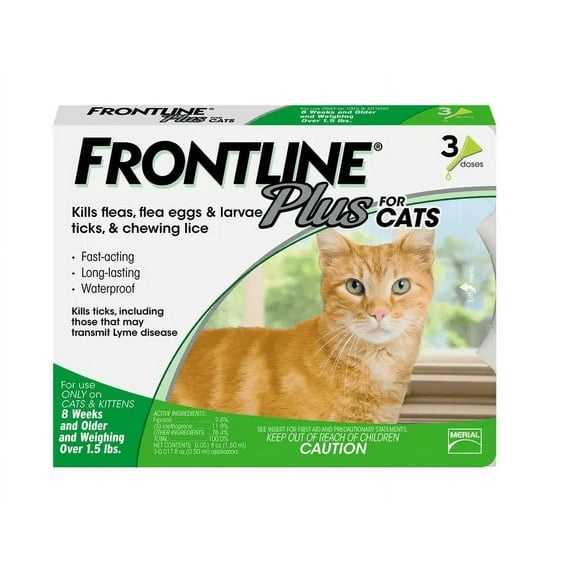 Flea and Tick Control for Cats