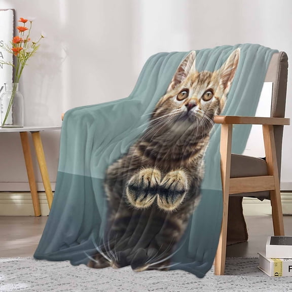Fleece Blanket Cute Brown Cat on Blue Blankets, Soft Cozy Warm Flannel Throw Blanket, Animal Focus Blanket for Bed Couch Sofa,30x40In