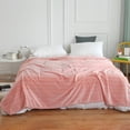 thumbnail image 1 of Double Layer Raschel Throw Blanket, Soft & Thick Fleece for Bed & Sofa, Winter Warming Essential, Polyester Cozy Blanket, 1 of 9