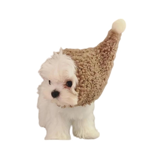 Fleece Dog Hat With Adjustable Strap Comfortable Small Animals Cosplay Headwear Accessories For Holiday Parties Gift
