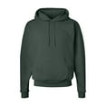 thumbnail image 1 of Fleece Ecosmart Hooded Sweatshirt, 1 of 5