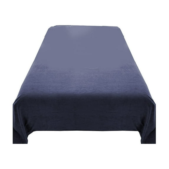 Fleece Flat Sheets Queen Size, Flannel Like Soft, Fuzzy Warm Plush Sheets, Velvet Polar Microfleece Bedding for Winter, 63x90.5 inches