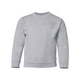 thumbnail image 1 of Fleece Heavy Blend Youth Crewneck Sweatshirt, 1 of 5