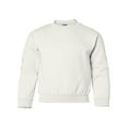 thumbnail image 1 of Fleece Heavy Blend Youth Crewneck Sweatshirt, 1 of 5
