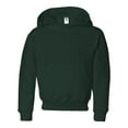 thumbnail image 1 of Fleece NuBlend Youth Hooded Sweatshirt, 1 of 5