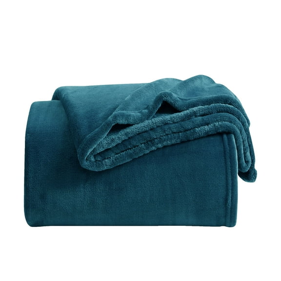 Fleece Throw Blanket for Couch & Bed, Soft Fuzzy Plush Throw Size Lake Blue Blanket, Luxury Flannel Lap Blanket, Super Cozy and Comfy for All Seasons, 40" x 60"