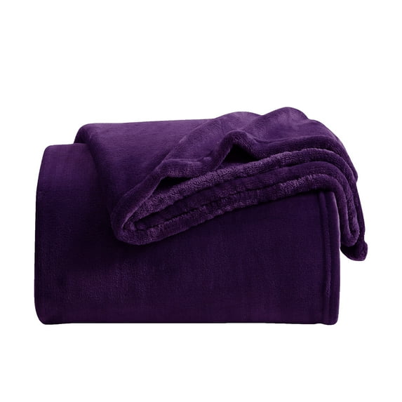 Fleece Throw Blanket for Couch & Bed, Soft Fuzzy Plush Throw Size Purple Blanket, Luxury Flannel Lap Blanket, Super Cozy and Comfy for All Seasons, 40" x 60"
