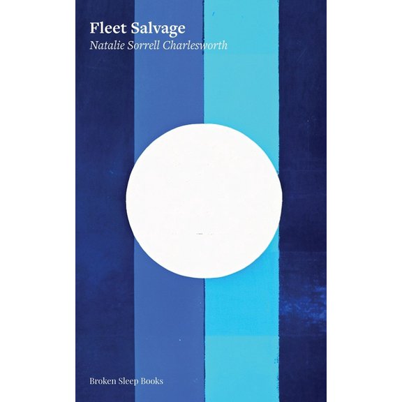Fleet Salvage (Paperback)