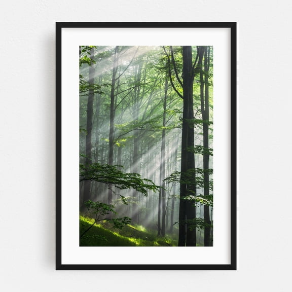 Fleeting Sunbeams - Bulgaria Photography Forest Nature Woodland Scenic Wilderness Mystical Landscape Black Framed Wall Art Print 5 x 7 inches