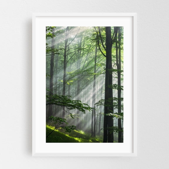 Fleeting Sunbeams - Bulgaria Photography Forest Nature Woodland Scenic Wilderness Mystical Landscape White Framed Wall Art Print 5 x 7 inches