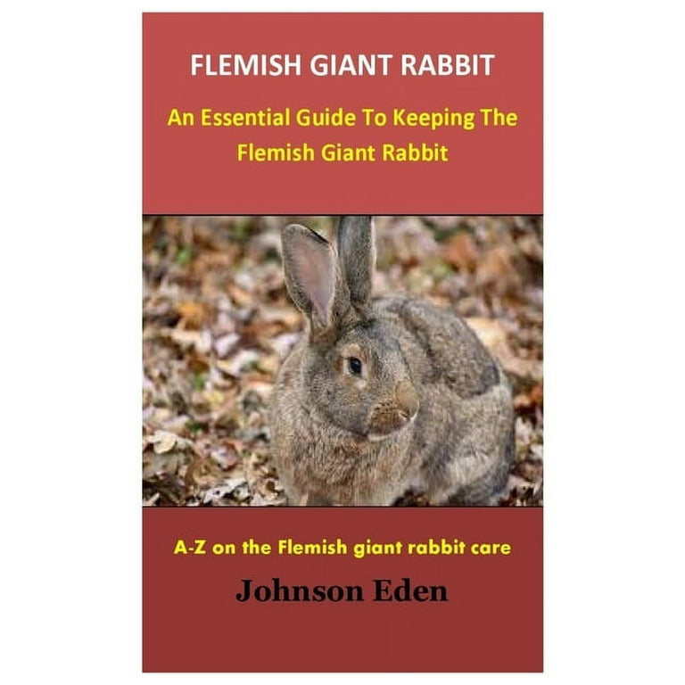 The Ultimate Guide to Picking Up Your Pet Rabbit Like a Pro!