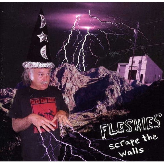 Fleshies - Scrape the Walls - Punk Rock - CD