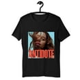 Fletcher In Search of the Antidote Tour 2024 Shirt, Fletcher Fan Shirt, Fletcher 2024 Concert