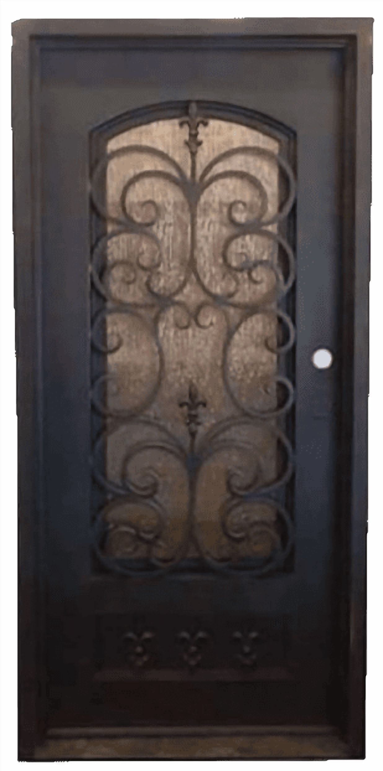 Fleur De Lis Iron Door