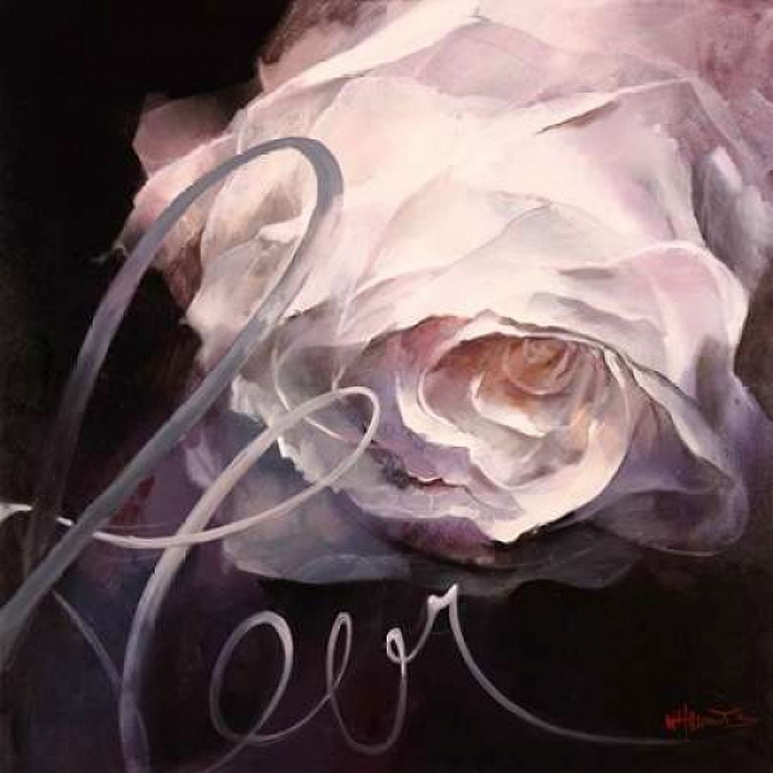 Fleur II Canvas Art - Willem Haenraets (24 x 24)